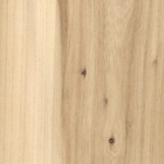 elm