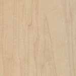 hard-maple
